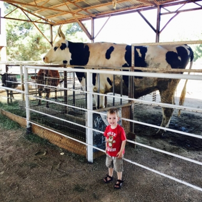 Our List of Local Farms that offer lots of Family Fun